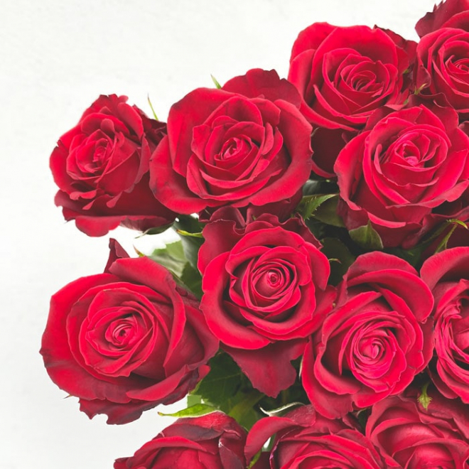 Roses