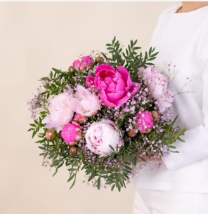 Nos belles pivoines
